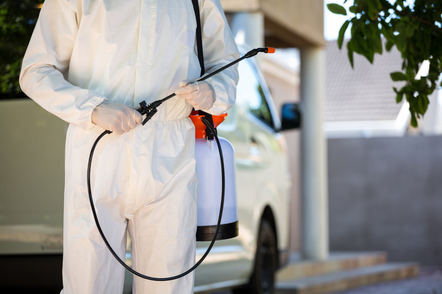 Pest Control Expert