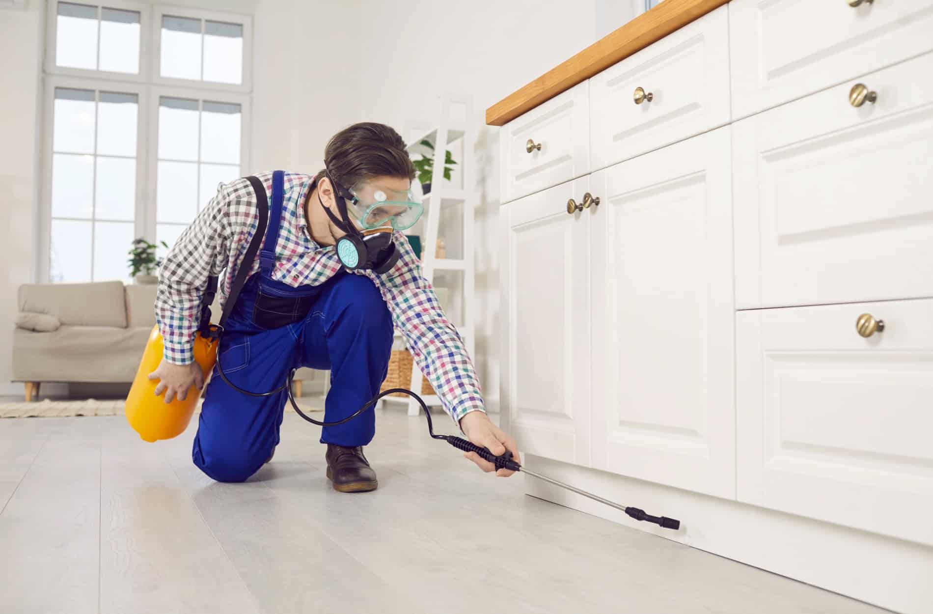 pest control
