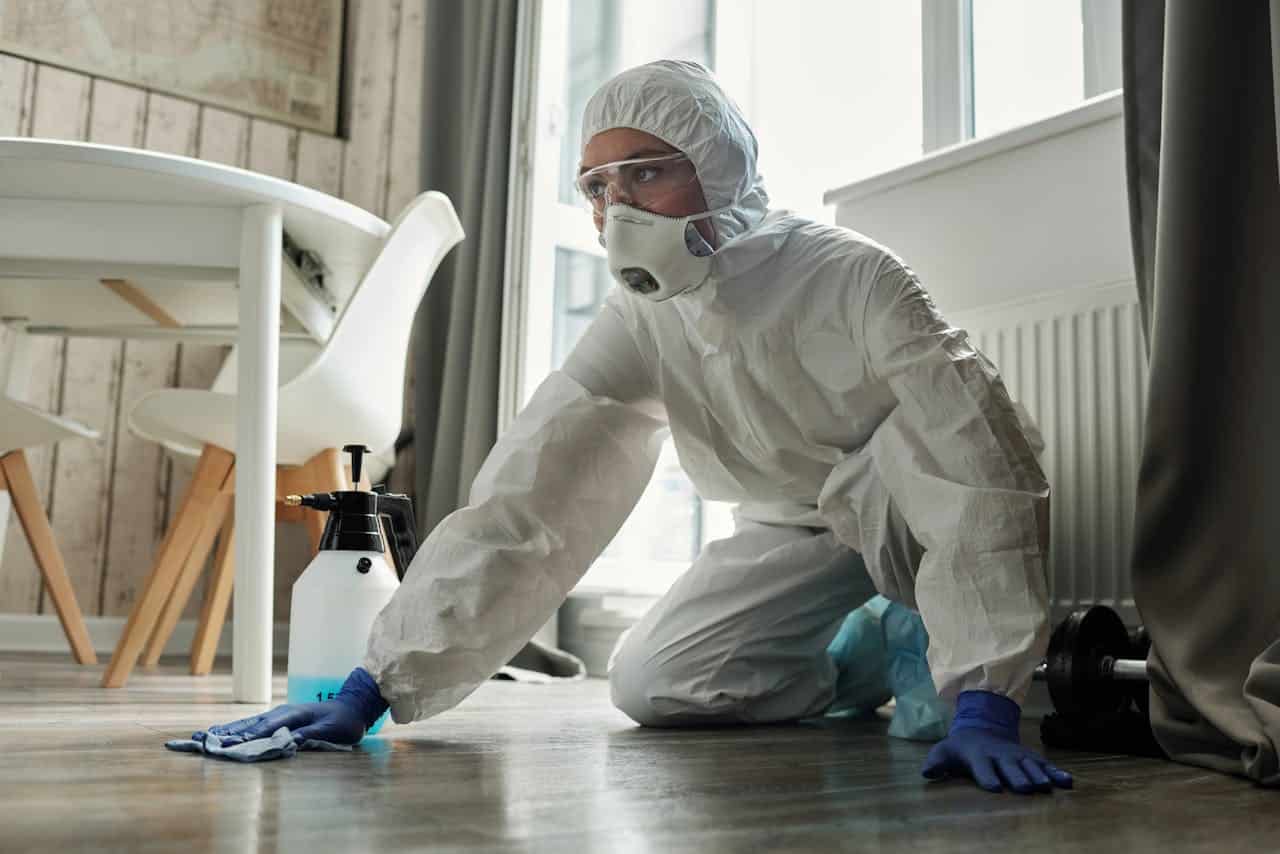 Control Bed Bugs